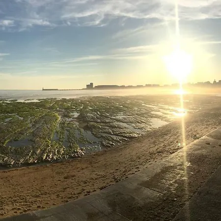 Apartment Le Cosy T2 Hypercentre ! La A 2 Min ! Les Sables-dʼOlonne