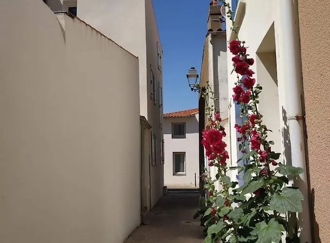 شقة Le Cosy T2 Hypercentre ! Parking Inclus Et La Plage A 2 Min ! *