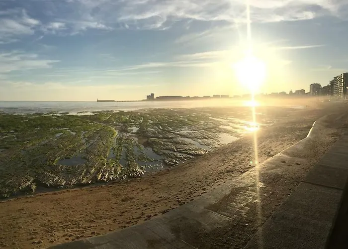 Lejlighed Le Cosy T2 Hypercentre ! La A 2 Min ! Les Sables-dʼOlonne